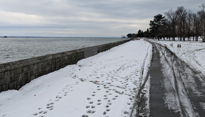 ‘Crippling blizzard’ expected to hit Niagara region