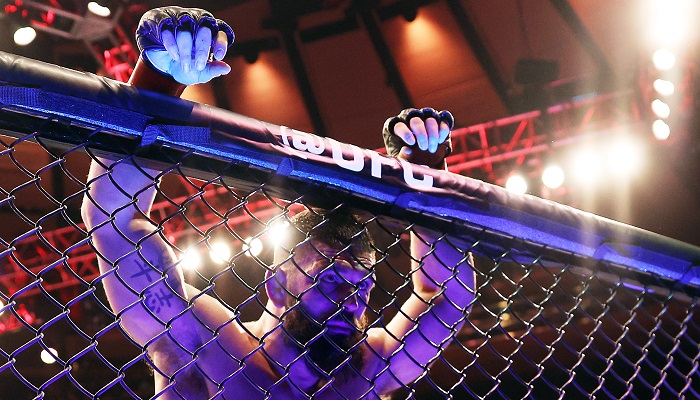 Ontario bans betting on UFC due to integrity concerns