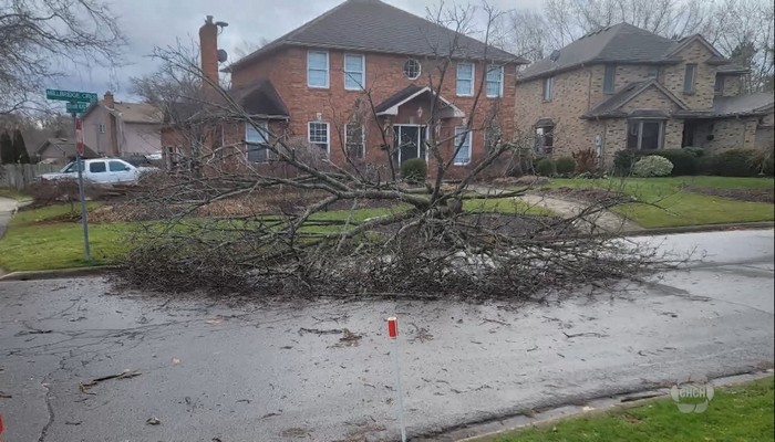 Fierce wind, heavy rain hits Southern Ontario Saturday