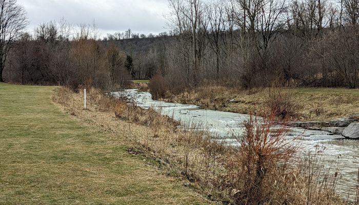 Police investigate sudden death near King’s Forest Golf Club