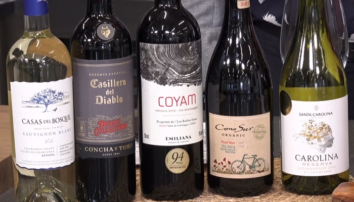 Exploring the diverse wines of Chile