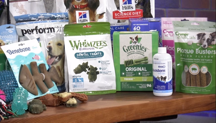 The importance of oral hygiene for your pets