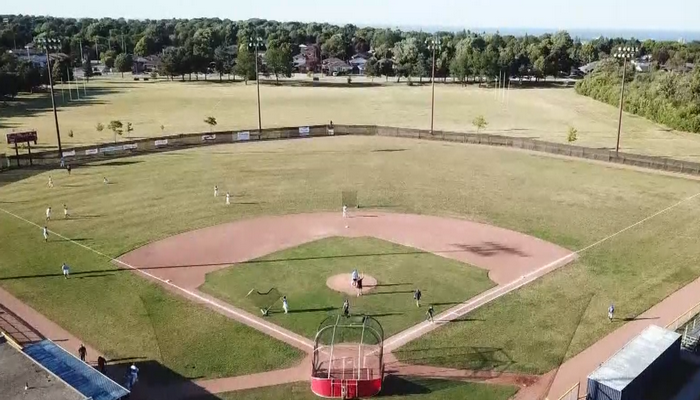 The Hamilton Cardinals want your help to name their new mascot