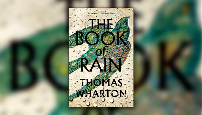 An environmental catastrophe in Thomas Wharton’s new novel ‘Book of Rain’ changes time and space