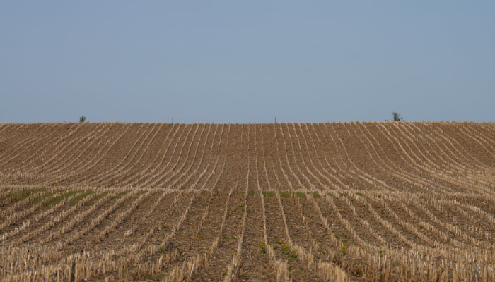 Ontario farmer opposition