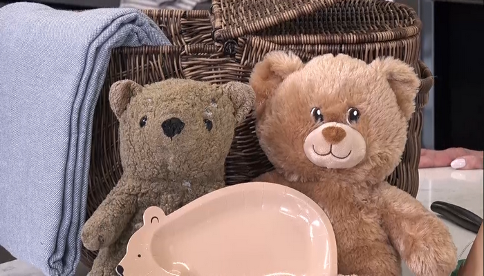 teddy bear picnic