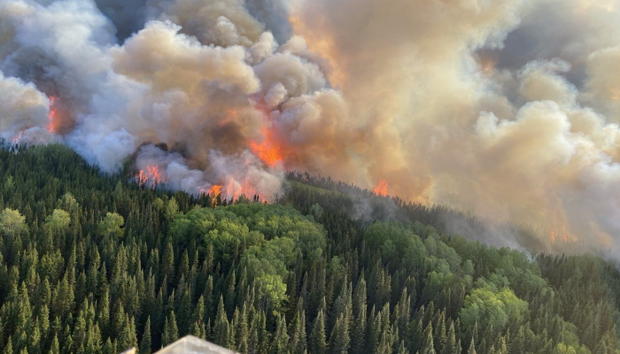 Air quality statements in effect for smoky, northeastern parts of Ontario