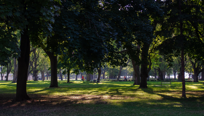 Pilot project to allow alcohol consumption in 27 Toronto parks