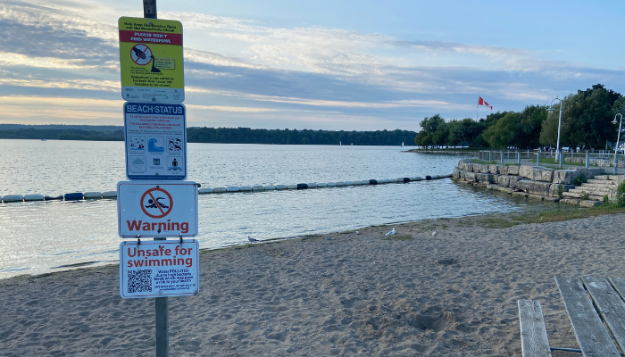 Blue-green algae causes closure of Hamilton’s Pier 4 Park beach