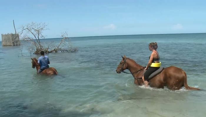 Making memories in Jamaica