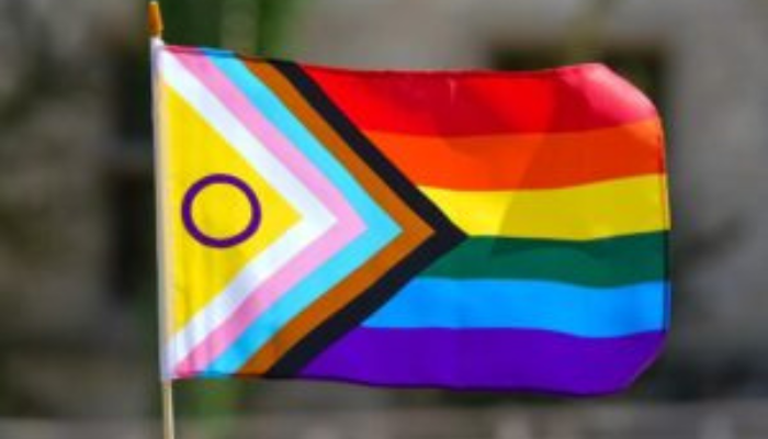 Youths charged with hate-related offences after Pride flag damaged in Kitchener