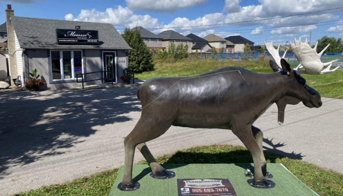 6-foot-tall moose statue stolen from Binbrook hair salon