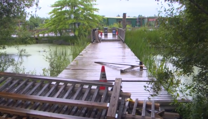 Police arrest 4 following vandalism at Niagara Falls nature preserve