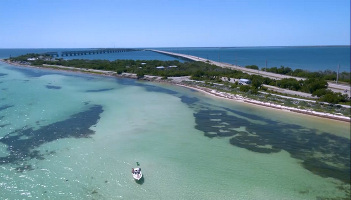 See The Keys as we head down to Florida to visit Big Pine & The Lower Keys