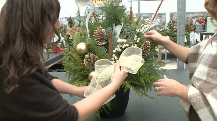 Get holiday ready at Terra Greenhouses