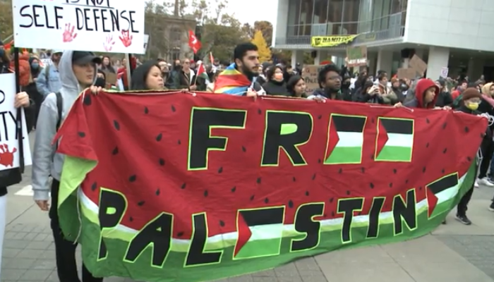 ‘Ceasefire now’: hundreds gather at Hamilton City Hall in support of Palestine