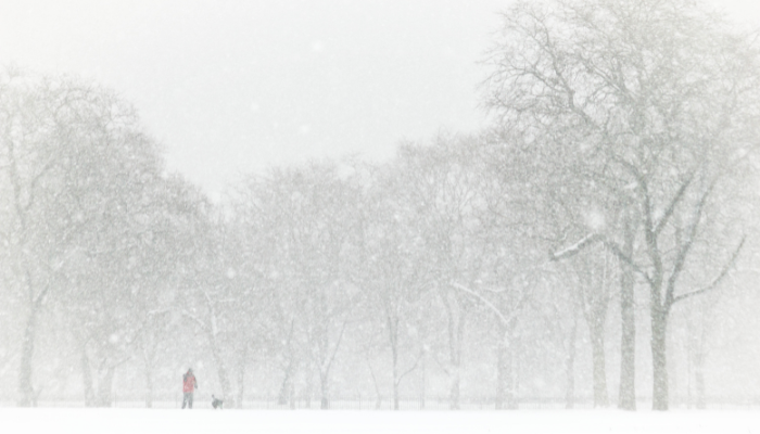 Travel advisories, warnings issued for Ontario cities ahead of heavy snowfall