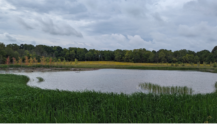 HCA acquires final land parcel for Saltfleet Wetland Restoration Program