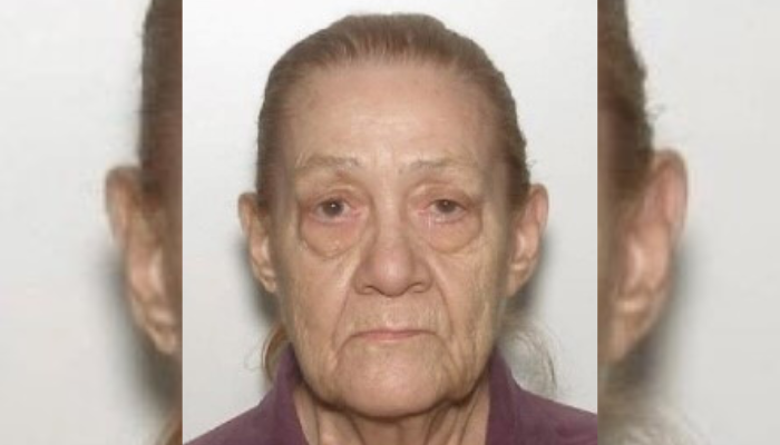 Hamilton police search for missing 87-year-old woman