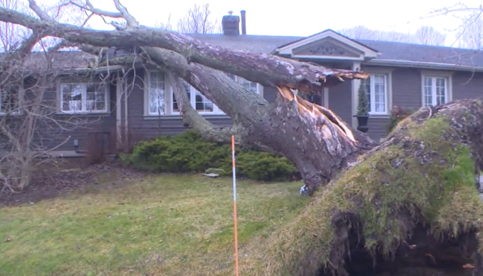 Wet, windy weather wreaks havoc for residents in Niagara