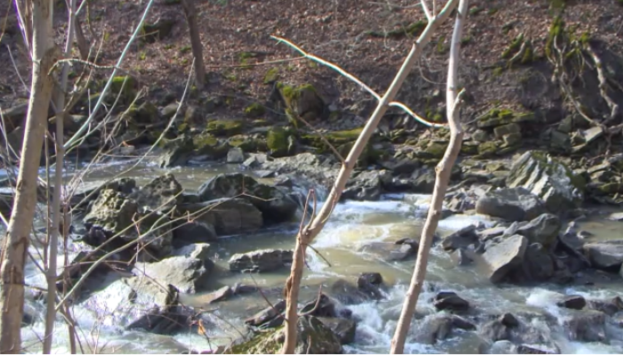 Warm weather has people in Niagara enjoying the sunshine while it lasts