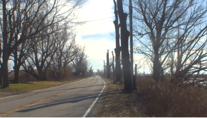 Long Point Causeway project sparks concerns over wildlife, road safety