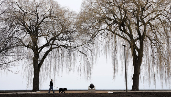 Ontario temperature records broken as unseasonable warmth hits the province