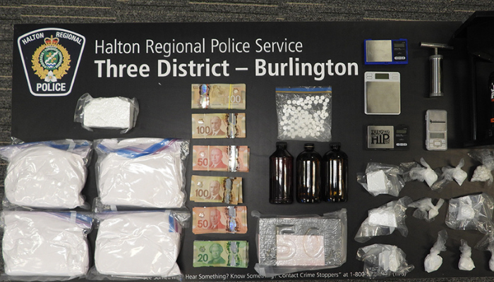 drug bust Halton police