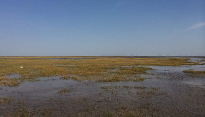 Marine area larger than Lake Superior could soon be protected off Ontario’s shores