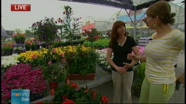 Gardening with Terra