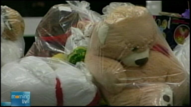 Toys collected during CHCH's 2013 Christmas toy drive
