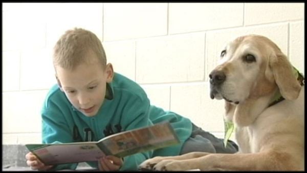 Shayden reads with Molly; St David's school, February 20, 2014