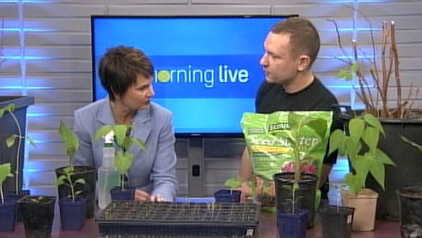Annette Hamm and Justin Godard; Morning Live, March 25, 2014
