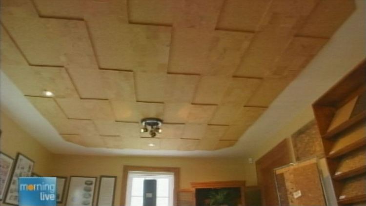 Cork used in a ceiling design; Morning Live, July 24, 2014