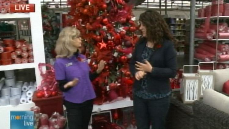 Terra's Debbie Masters with Lori DeAngelis; Morning Live, November 10, 2014