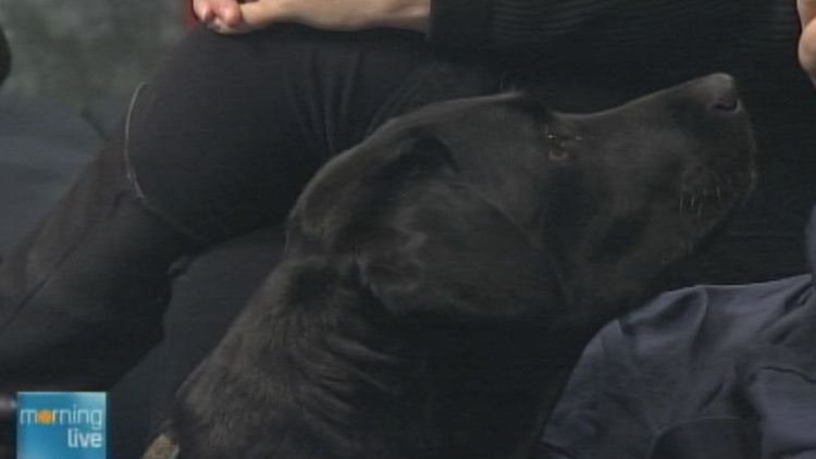 Service dog Baasje; Morning Live, December 23, 2014