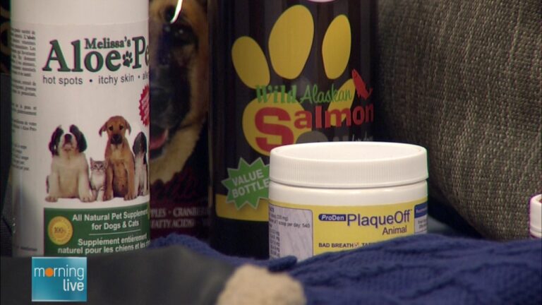 Products from Global Pet Foods; Morning Live, September 8, 2015