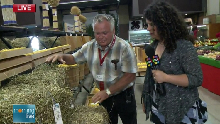 Lori checks out a bail of hay