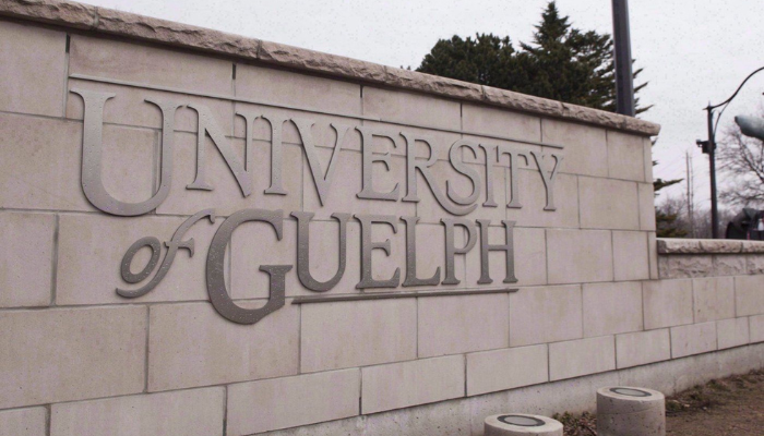 Alcohol recovery room at University of Guelph helps ease ER pressure, hospital says