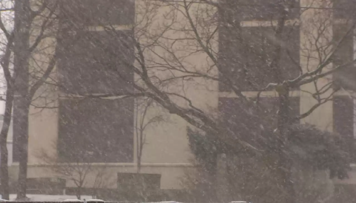hamilton snow