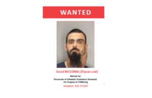 niagara police wanted david mccomb
