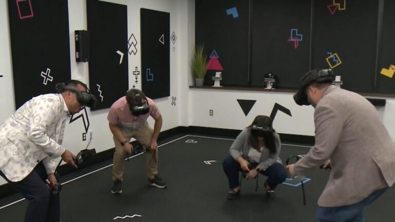 McMaster VR
