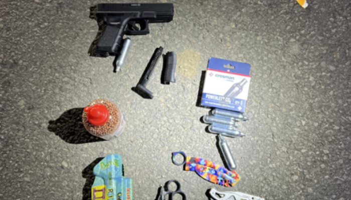 Port Colborne weapons charges