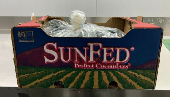 Cucumber food recall