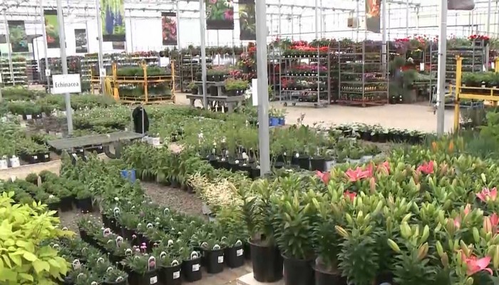 Connon Nurseries