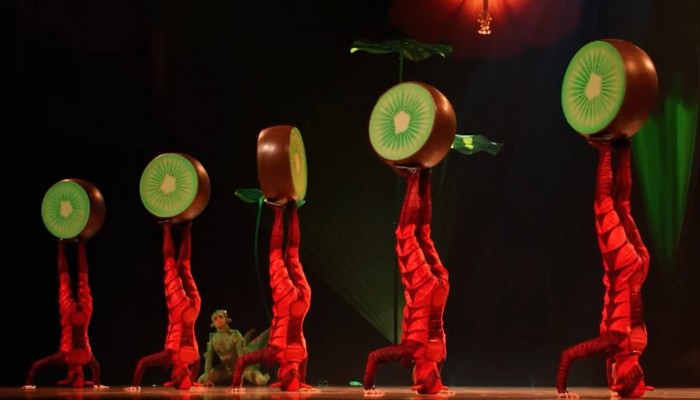 Cirque du Soleil