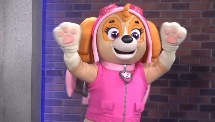 Paw Patrol Live!