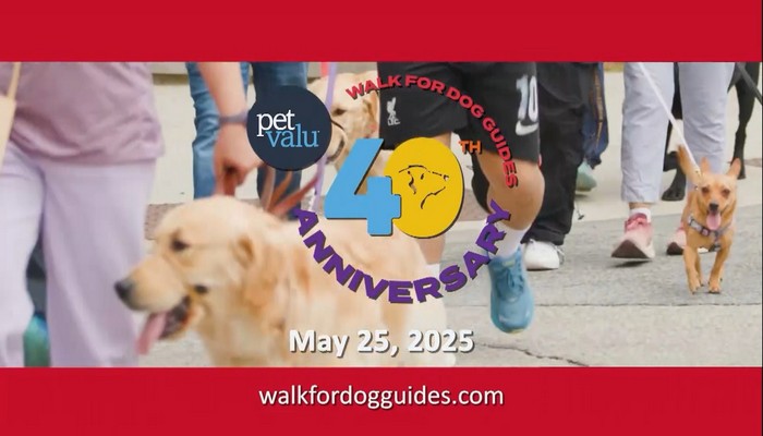 Pet Valu Walk for Dog Guides