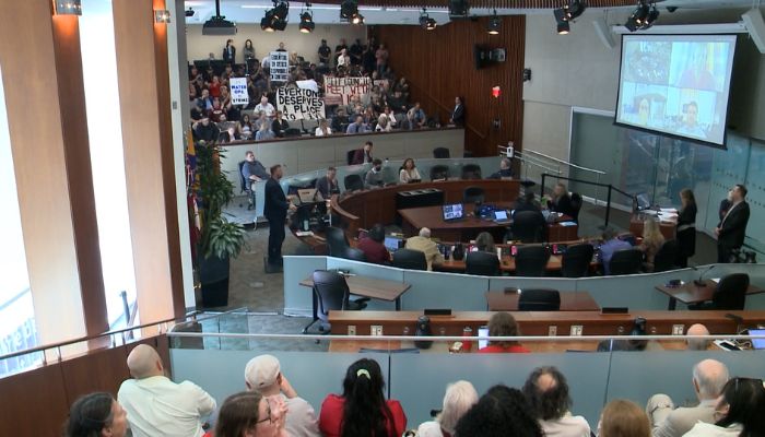 Hamilton City Hall protests