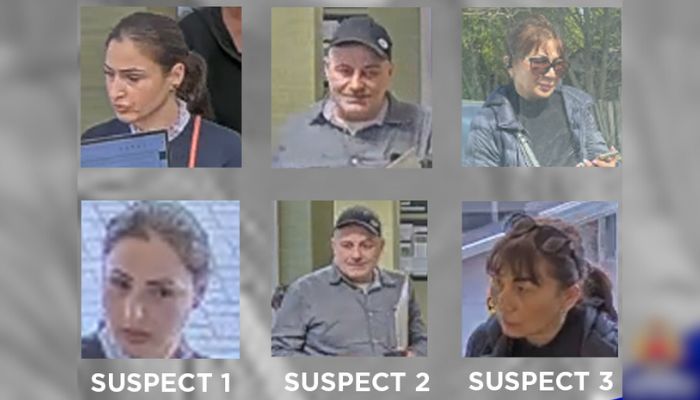 Hamilton Distraction Thefts